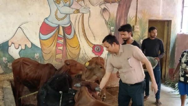 महराजगंज के ग्रामीण और शहरी क्षेत्रों में हुई यह खास पहल, डीएम - एडीएम ने ने किया निरीक्षण