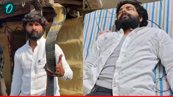 Murliwale Hausla: सांप को बचाने निकले 'सांप मित्र' खुद बने कोबरा के शिकार, ICU में लड़ रहे हैं जिंदगी की जंग