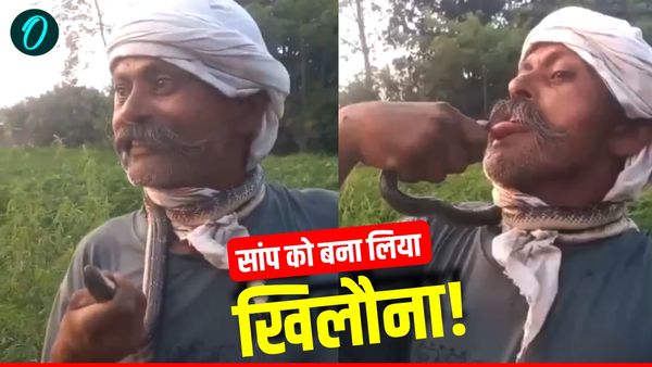 Amroha news: सांप से खेलने की नासमझी पड़ी भारी, गले में डालकर जीभ पर डसवाया, वीडियो हुआ वायरल