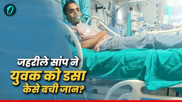जहरीले सांपों में गिने जाने वाले करैत सांप ने 17 वर्षीय युवक को डसा, वेंटिलेटर सपोर्ट पर रखा, फिर ऐसे बची जान