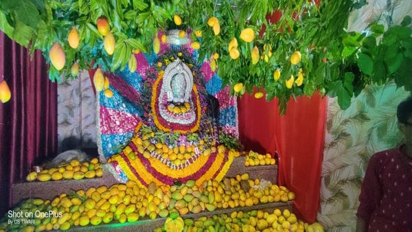 251 किलो आमों से सजा बाबा खाटू श्याम का अनोखा बगीचा, भोपाल के मां वैष्णो धाम में निर्जला एकादशी पर भव्य आयोजन