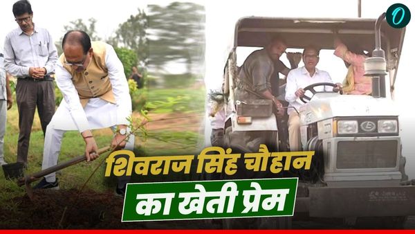 केंद्रीय कृषि मंत्री शिवराज ने शिमला मिर्च की खेती में की मलचिंग, VIDEO शेयर कर बोले- खेती का आनंद अद्भुत