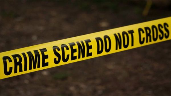 अमेरिका में फिर हिंसा! मिशिगन के वॉलमार्ट में चाकूबाजी से हड़कंप, 11 लोग घायल