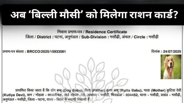 Digital India की लीला: डॉग बाबू बने बिहार के नागरिक, लोगों ने कहा– अब ‘बिल्ली मौसी’ को भी मिलेगा राशन कार्ड!