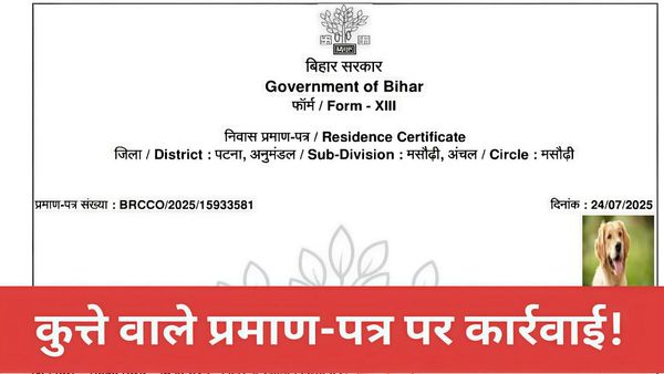 Dog Babu Certificate:RTPS सिस्टम का कुत्ते वाला मज़ाक बना गंभीर अपराध,‘डॉग बाबू’ केस में इन लोगों पर गिरी गाज