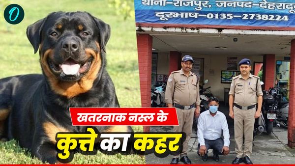 Dehradun news: खूंखार राॅटविलर कुत्तों ने किया बुजुर्ग महिला पर जानलेवा हमला, मालिक हिरासत में, ये हुआ एक्शन