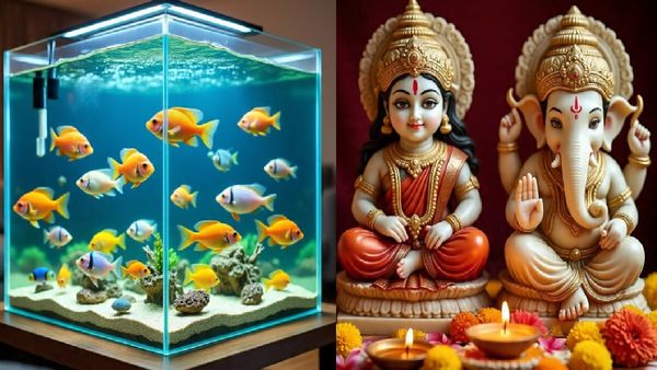 Home Vastu Tips: घर में जरूर रखें ये 5 चीजें, नहीं होगी सुख, शांति और पैसे की कमी