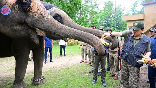 Uttarakhand News : कार्बेट नेशनल पार्क में सीएम धामी ने किया जंगल सफारी का अनुभव, ‘एक पेड़ माँ के नाम’ अभियान के तहत हुआ 1000 से अधिक पौधारोपण