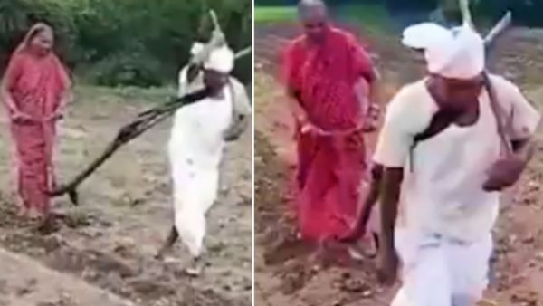 Watch: जहां मरे 767 किसान, वहां अंबादास ने 'बैल' बनकर खुद जोता 4 बीघा खेत, दिलाई 'मदर इंडिया' की याद