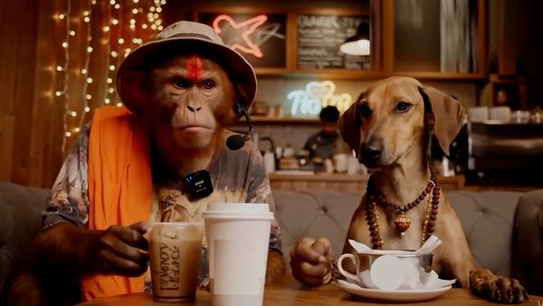 मंकेश और डोगेश कौन हैं? जानिए इन वायरल एआई बंदरों को बनाने वाले असली इंसानों की कहानी