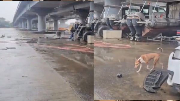 गूगल मैप्स पर भरोसा करना पड़ा भारी, नवी मुंबई में महिला की ऑडी कार खाई में गिरी, मरीन गार्ड्स ने रेस्क्यू किया