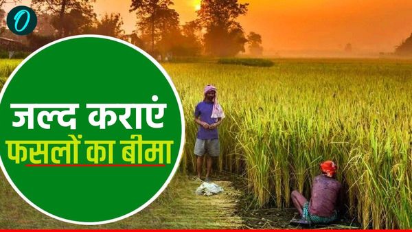 Fasal Bima Yojana: सिर्फ 31 जुलाई तक मौका! एक चूक से बर्बाद हो सकती है आपकी पूरी मेहनत