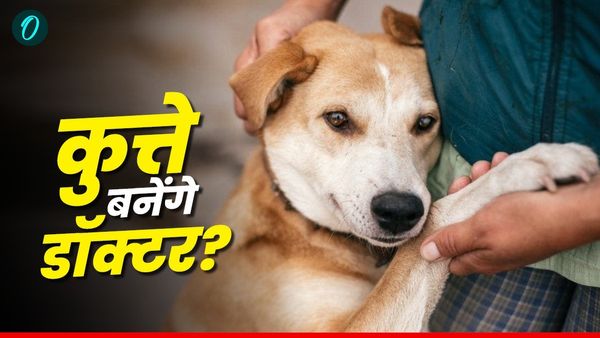 डॉक्टर नहीं अब 'कुत्ता' लगाएगा इस बीमारी का पता, वैज्ञानिकों की चौंकाने वाली खोज