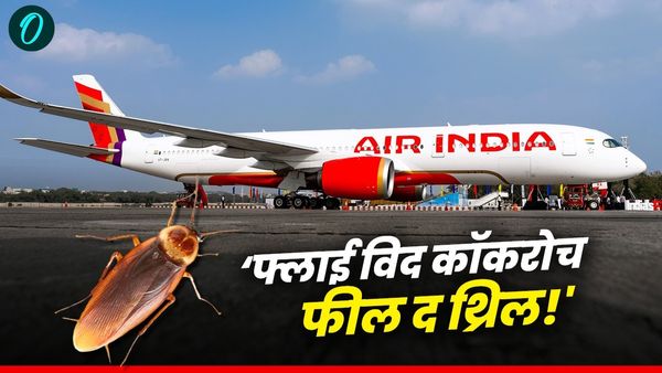 Air India की फ्लाइट में कॉकरोच का 'तक धिना धिन' डांस! यात्रियों ने किया हंगामा, एयरलाइन को मांगनी पड़ी माफी