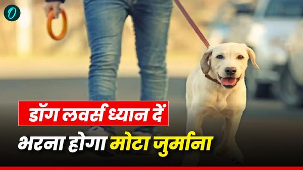 Dehradun news: डॉग लवर्स ध्यान दें कुत्तों को लेकर नगर निगम सख्त, नियमों को फॉलो करो नहीं तो मोटा जुर्माना भरो