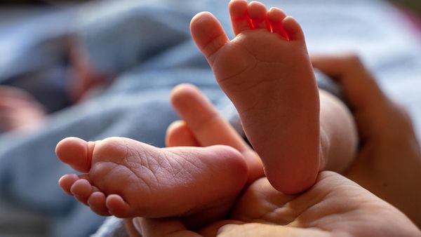 नोएडा डेकेयर में 15 माह की मासूम पर अत्याचार: काटने के निशान, खौफनाक फुटेज से खुला राज! हिरासत में अटेंडेंट