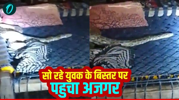 Agra News: सो रहे युवक के बिस्तर पर पहुंचा अजगर, करवट बदलते ही हुई अजीब फीलिंग, लगा जोर-जोर से चिल्लाने