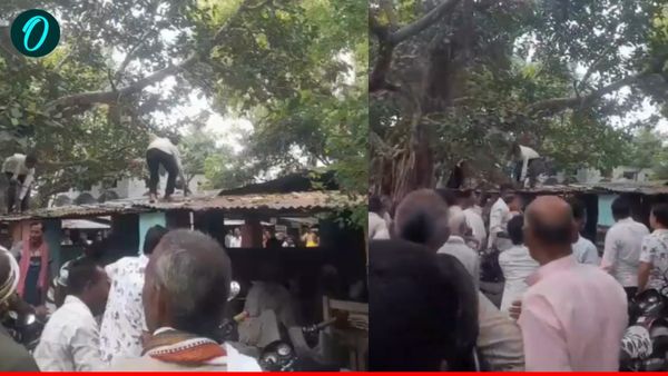 Auraiya News: तहसील परिसर में बंदर ले उड़ा किसान का बैग, पेड़ पर बैठकर कर दी नोटों की बरसात