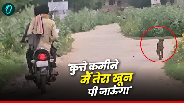 Rajasthan Blood Game: इंसान बना हैवान, 25 कुत्तों का कत्लेआम! सड़कों पर बंदूक लिए कौन बना मौत का दूसरा नाम?