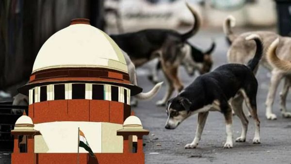 Stray dogs पर सुप्रीम कोर्ट के आदेश से एनिमल लवर्स में खुशी, मेनका गांधी ने कहा – सही दिशा में बड़ा कदम