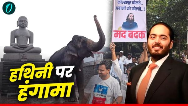 Madhuri Elephant: कोल्हापुर वापस जाएगी हथिनी 'माधुरी '? सोशल मीडिया पर छिड़ी बहस!