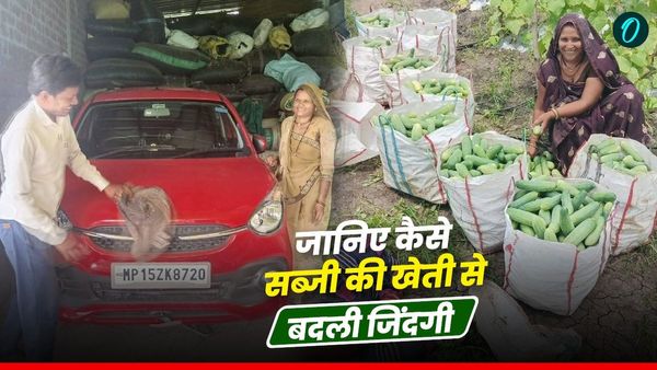 Success Story: सब्जी की खेती से बदली जिंदगी, महिलाओं का कमाल, प्रतिदिन 20 से 50 हजार तक कमाई