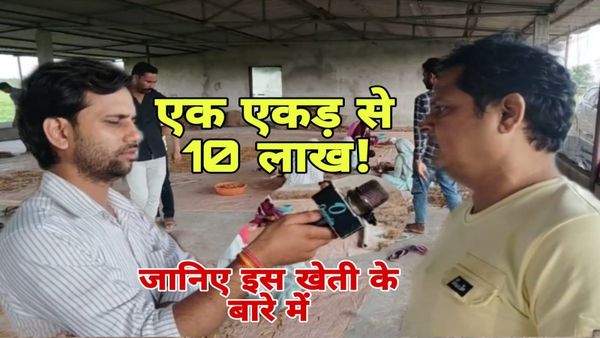 MP News: सीहोर के किसान की कमाल की खेती, 1 एकड़ भूमि में शतावर और मल्टी-फार्मिंग से लाखों की कमाई