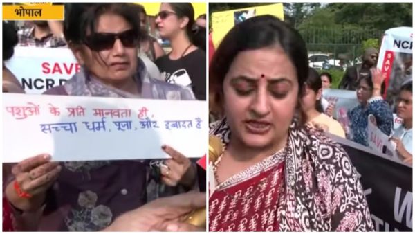 Bhopal News: भोपाल में सुप्रीम कोर्ट के आदेश के खिलाफ एनिमल लवर्स का प्रदर्शन, जानिए पूरा मामला