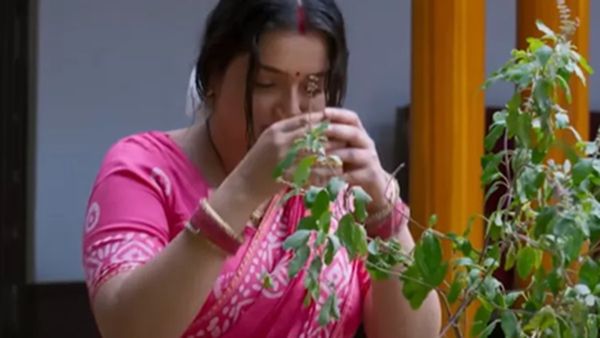 Shardiya Navratri 2025: नवरात्रि में आम्रपाली दुबे का भोजपुरी देवी गीत हुआ वायरल, गृहणी बन छाईं एक्ट्रेस