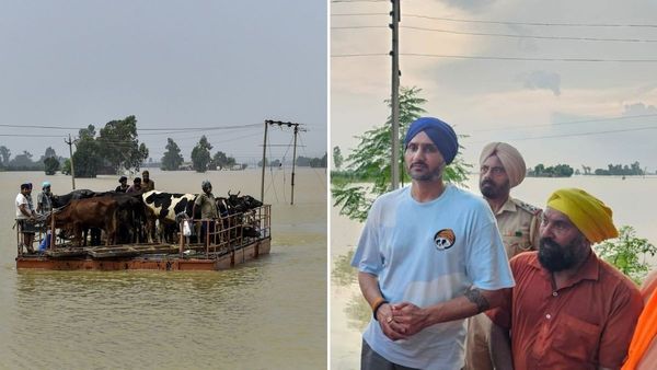 लाइव टीवी पर हाथ जोड़कर रोये हरभजन सिंह, पंजाब बाढ़ पीड़ितों के लिए शुरू की दिल जीतने वाली मुहिम