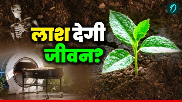 New Funeral Law: न जलेंगी न दफन होगी, अब इंसानों की लाशों पर फसल उगेगी? नया कानून बदलेगा वर्तमान-भविष्य! कैसे?