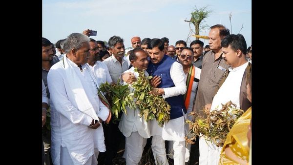 MP News: खुद उतरे खेतों में-अन्नदाताओं को लगाया गले, आपको इमोशनल कर देगा सीएम डॉ. मोहन का ये अंदाज