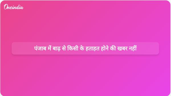 पंजाब के मंत्री ने बाढ़ राहत प्रयासों के बीच किसी भी मानव जीवन के नुकसान की पुष्टि नहीं की