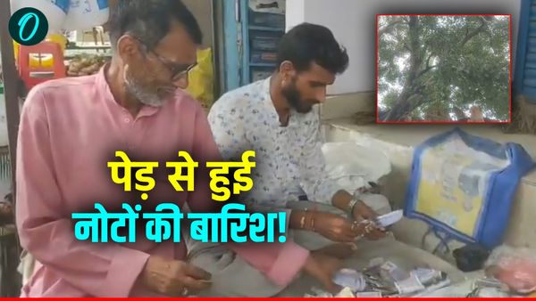 Hamirpur News: पेड़ से अचानक होने लगी नोटों की बारिश… बाजार में लगी भीड़, पीछे की कहानी चौंकाने वाली