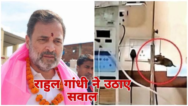 MP News: इंदौर के MYH में नवजातों की मौत पर बवाल, राहुल गांधी ने कहा- 'हादसा नहीं, हत्या', प्रशासन का अलग दावा