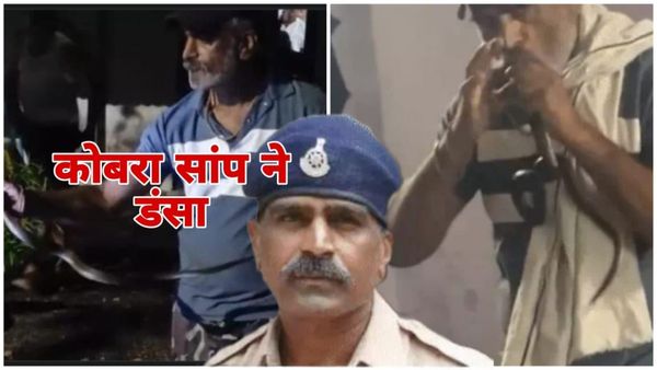 Indore MP News: पुलिस आरक्षक की दर्दनाक मौत: कोबरा सांप पकड़ते वक्त डंस लिया, वीडियो वायरल; पत्नी-दो बच्चे