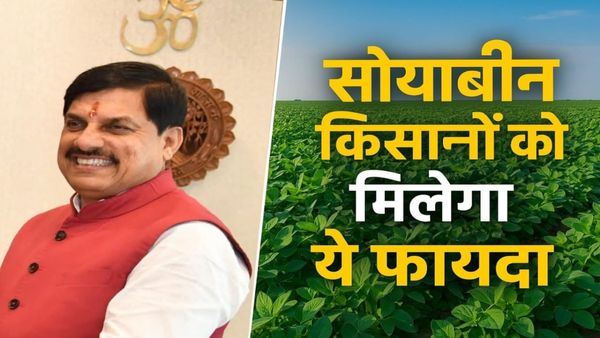 MP News: मोहन यादव सरकार में सोयाबीन किसानों को कैसे मिलेगा भावांतर योजना का लाभ, राशि सीधे खाते में, जानिए