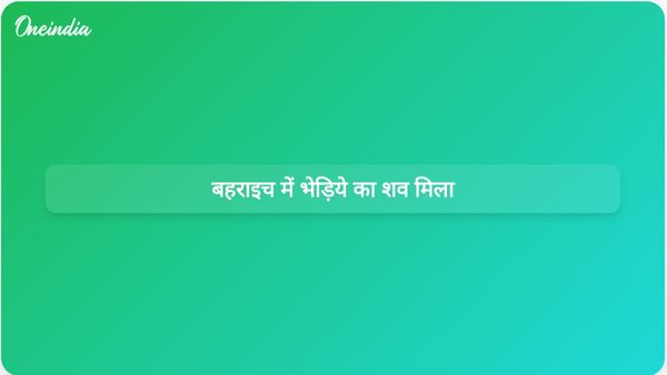 स्थानीय ग्रामीणों पर बढ़ते हमलों के बीच बहराइच में भेड़िये का शव मिला