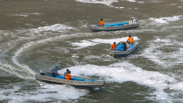 कौन हैं ये भाजपा नेता? जिसने दिल्‍ली में पिया यमुना का पानी, बोले- नदी प्रदूषित अवस्था से उबर रही