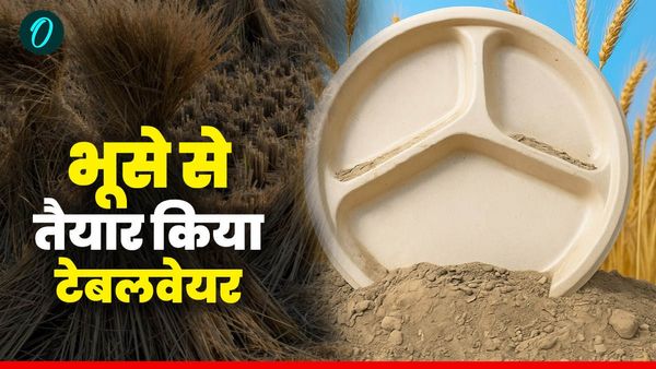 आईआईटी रुड़की ने तैयार किया भूसे से टेबलवेयर, प्रदूषण और पराली के साथ ही जानिए किसानों को क्या होगा फायदा