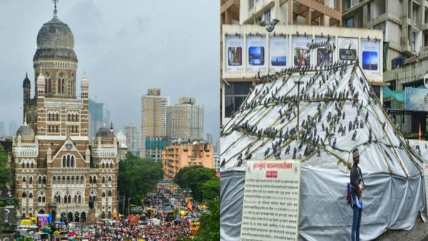 Mumbai BMC elections: नाराज जैन समुदाय ने बनाई पार्टी, बीएमसी चुनाव लड़ने की दी चेतावनी, किसकी बढ़ेगी मुश्किल?