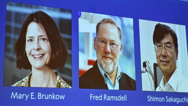 Nobel Prize 2025: इन तीन वैज्ञानिकों को मिला चिकित्सा का नोबेल पुरस्‍कार,आटोइम्यून बीमारियों से जुड़ी खोज की