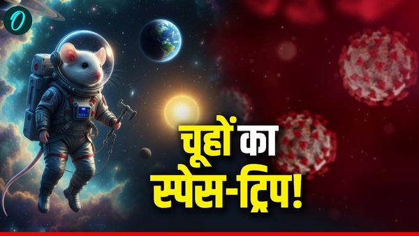 China Space Mission: चीन क्यों भेज रहा अंतरिक्ष में 4 चूहे? क्या कोरोना जैसी महामारी दोबारा फैलाने की तैयारी?