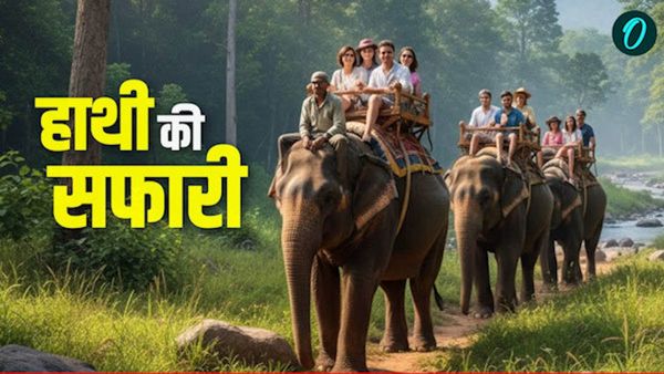 UK NEWS: कॉर्बेट और राजाजी टाइगर रिजर्व में होगी हाथी की सफारी, जानिए कब, कहां, कैसे और कितने में होगी सफारी