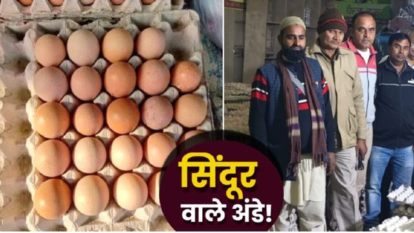 Fake Desi Eggs: सेहत को चूना लगा रहे नकली अंडे, कत्था-Sindoor से बन रहे ‘देसी’, कैसे करें असली की पहचान?