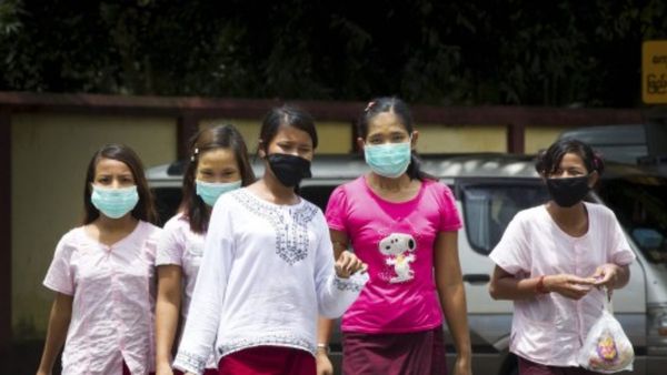 Nashik में अफ्रीकी स्वाइन फीवर का खौफ, 9 सुअरों की हुई मौत, क्‍या इंसानों को भी है खतरा?