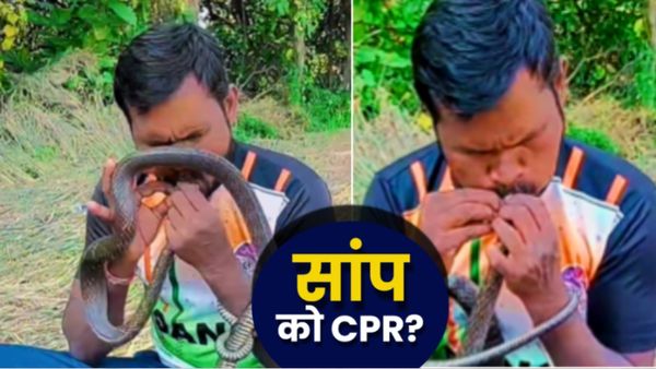 CPR On Snake Video: कौन है ये शख्स, माउथ-टू-माउथ CPR देकर 7 मिनट में मरते सांप को जिंदा किया? चौंकाने वाला सीन