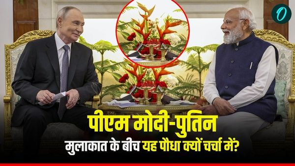 Putin India Visit: पीएम मोदी और पुतिन की मुलाकात में क्यों रखा गया यह खास पौधा? समझें डिप्लोमेसी गेम!