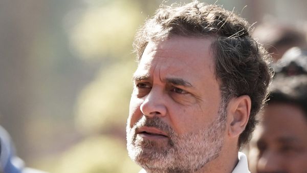 2025 में राहुल गांधी ने कितनी चुनावी रैलियां की, कांग्रेस ने कितनी सीटें जीतीं? असलियत कर देगी हैरान