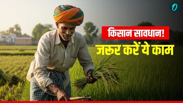 MP News: किसान सावधान! पीएम किसान सम्मान निधि की 22वीं किस्त अटक सकती है, जानें पूरी जानकारी